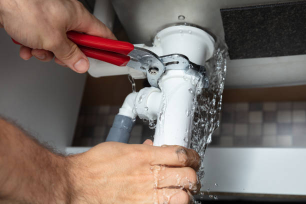 Best Sewage cleanup and water damage restoration  in Cedar Falls, IA