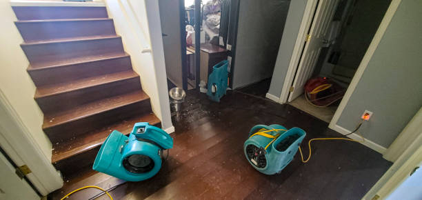 Best Carpet water damage restoration  in Cedar Falls, IA