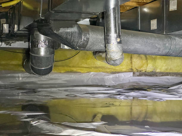 Best Professional water damage repair  in Cedar Falls, IA